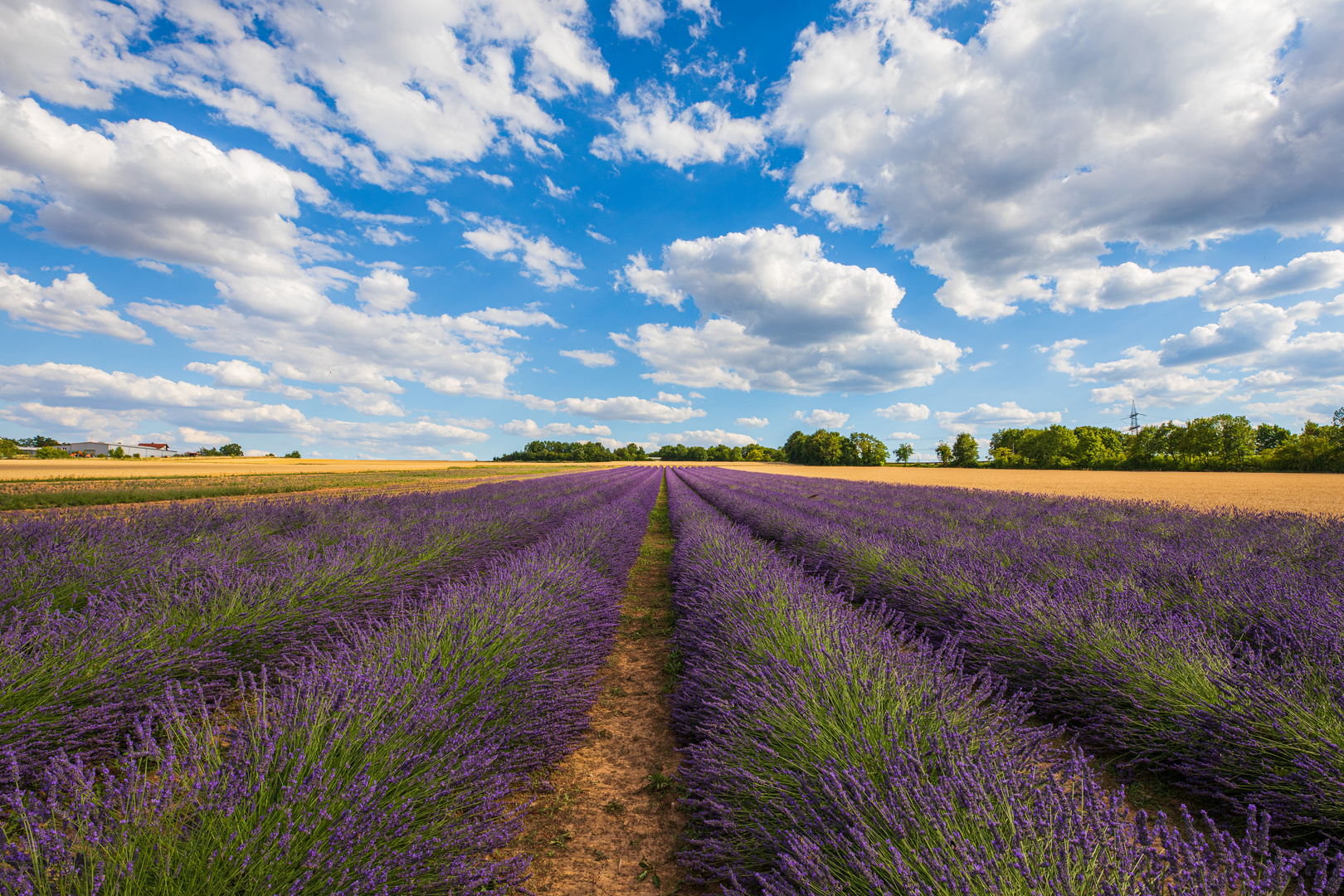 Ein bisschen Provence..