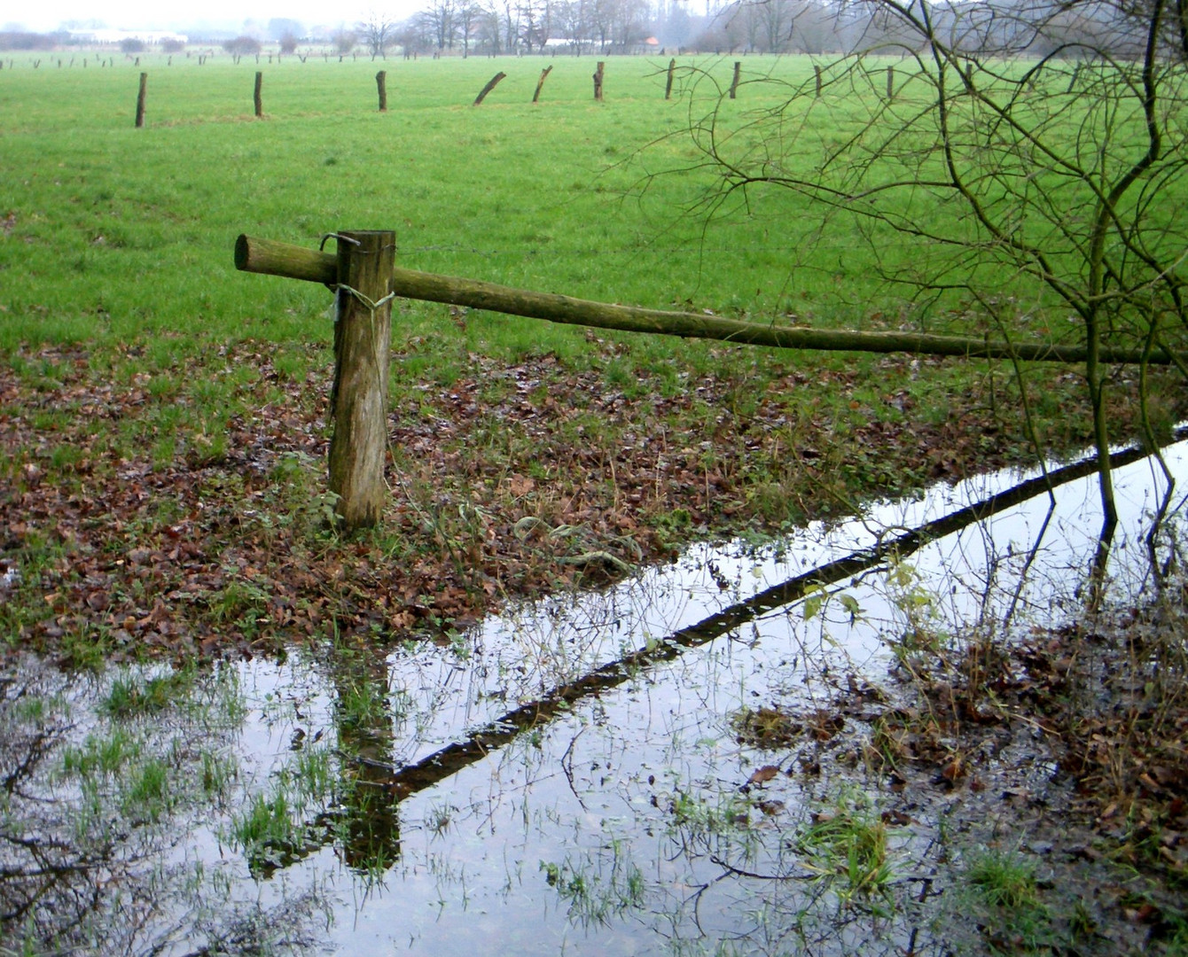 Ein bisschen Regen auf dem Lande