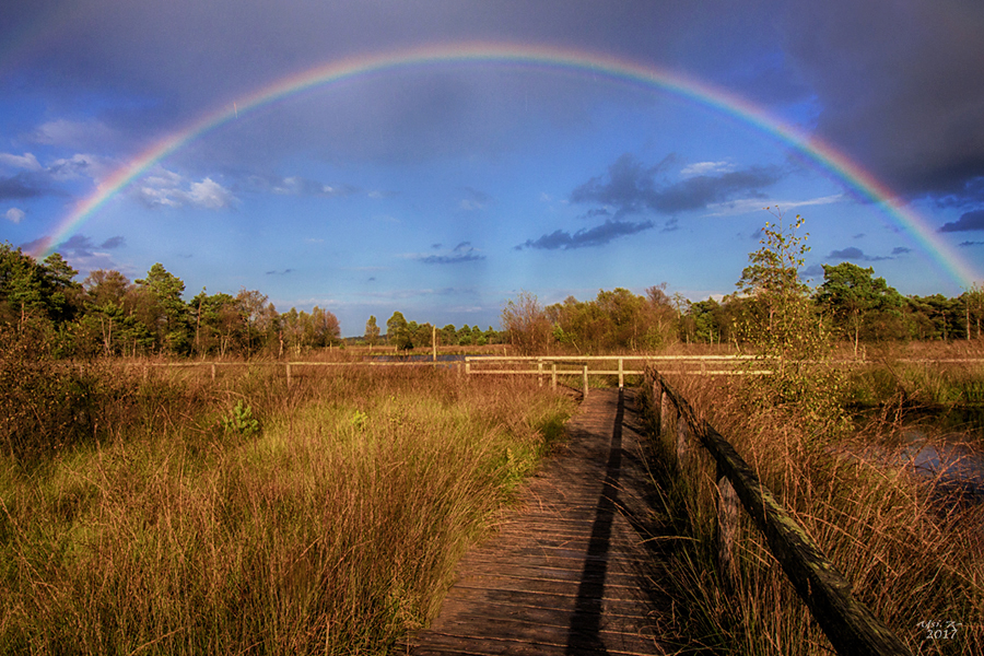 Ein bisschen Regenbogen