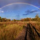 Ein bisschen Regenbogen