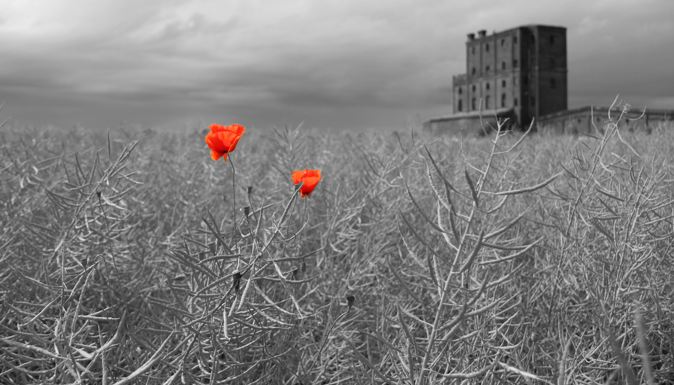 Ein bißchen Rot