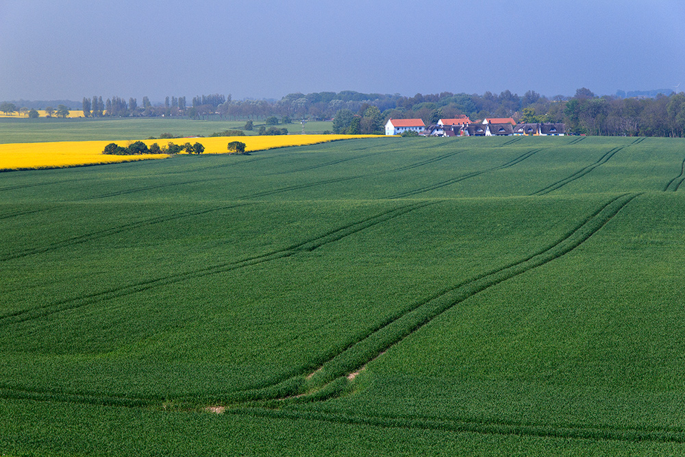 Ein bisschen Rügen...