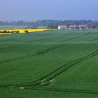 Ein bisschen Rügen...