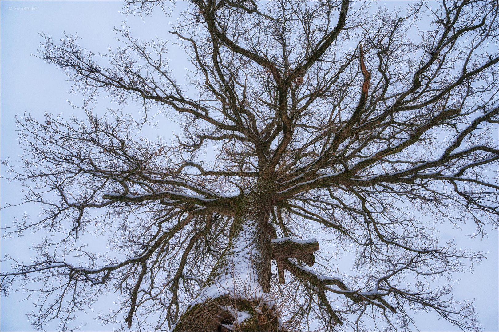 Ein bisschen Schnee