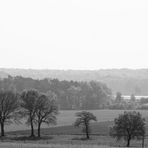 ein bisschen Schwarz-Weiß