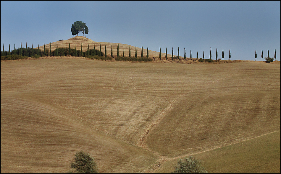 Ein bisschen Senesi