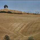 Ein bisschen Senesi