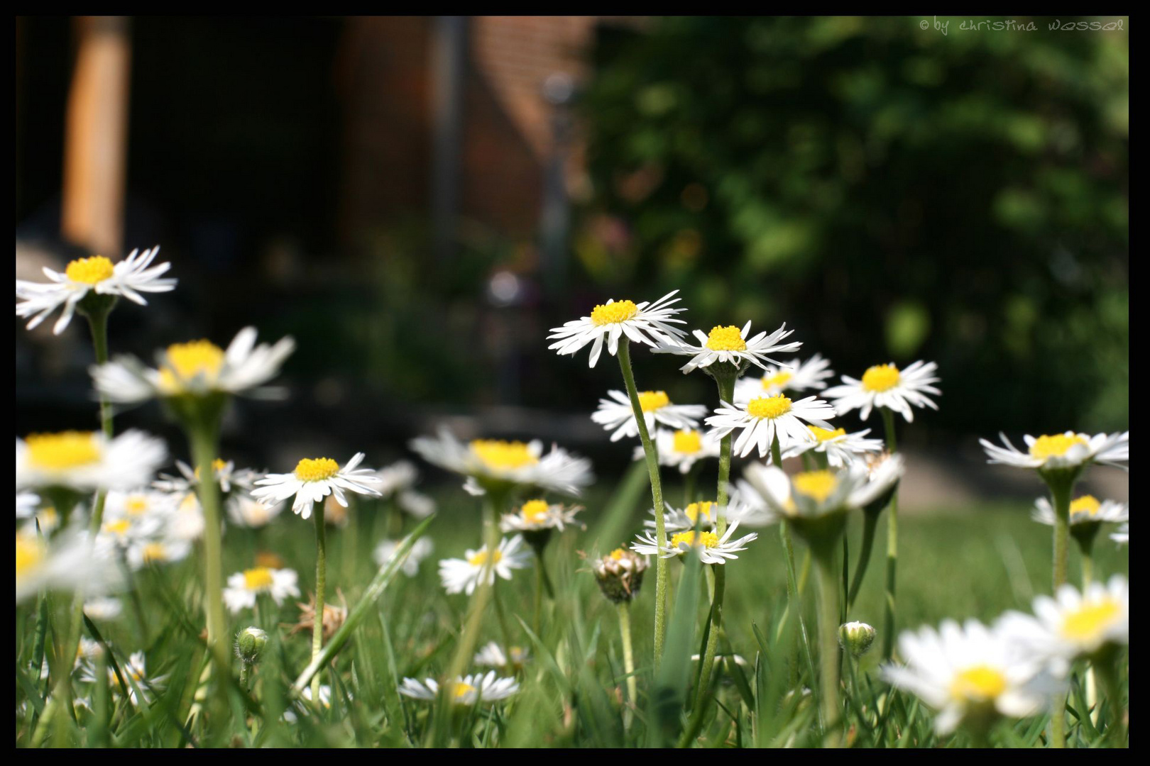 ein bisschen Sommer...