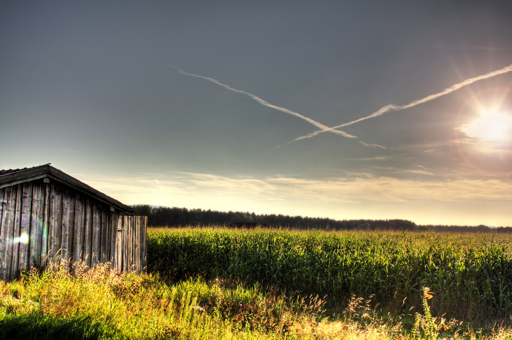 Ein bisschen Sommer