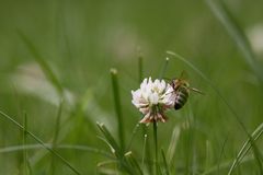 Ein bisschen Sommer