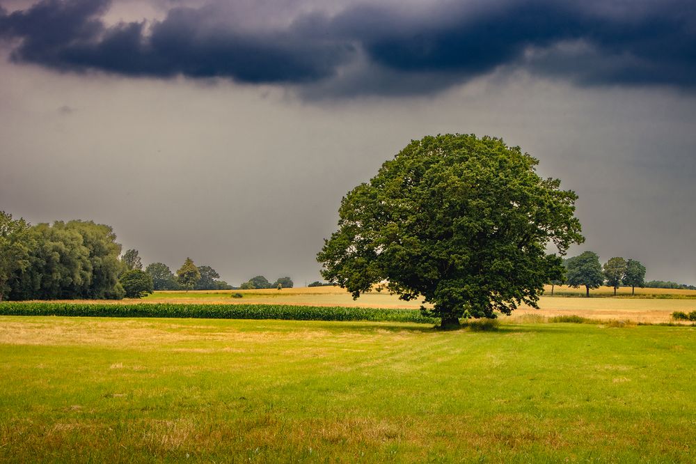 Ein bisschen Sommer