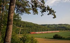 Ein bisschen Sommer gegen den Winterblues