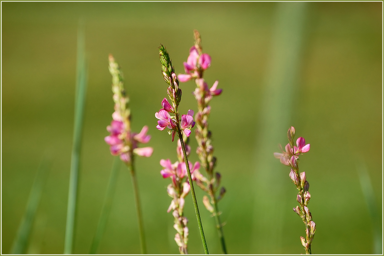 Ein bisschen Sommerfeeling