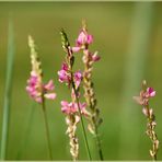 Ein bisschen Sommerfeeling