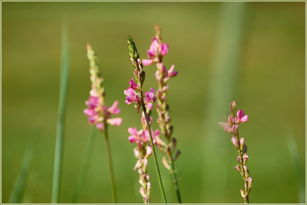 Ein bisschen Sommerfeeling