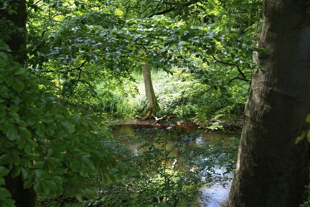 ein bißchen Sonne...