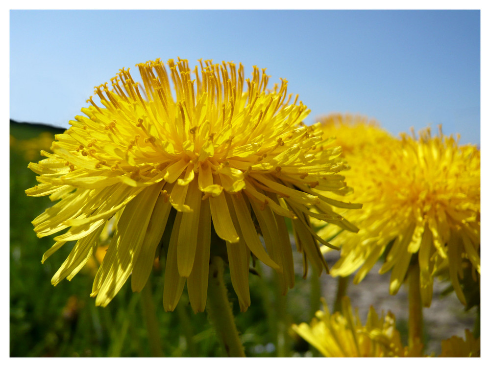 Ein bisschen Sonne