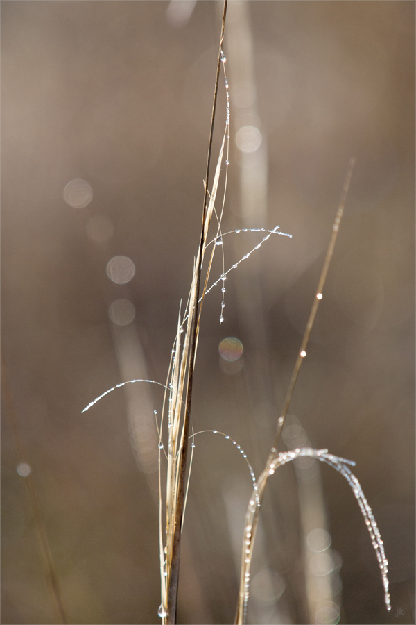 ein bisschen sonne...