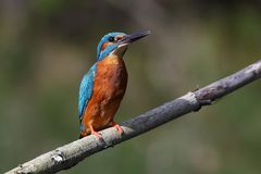 Ein bisschen Sonne tanken