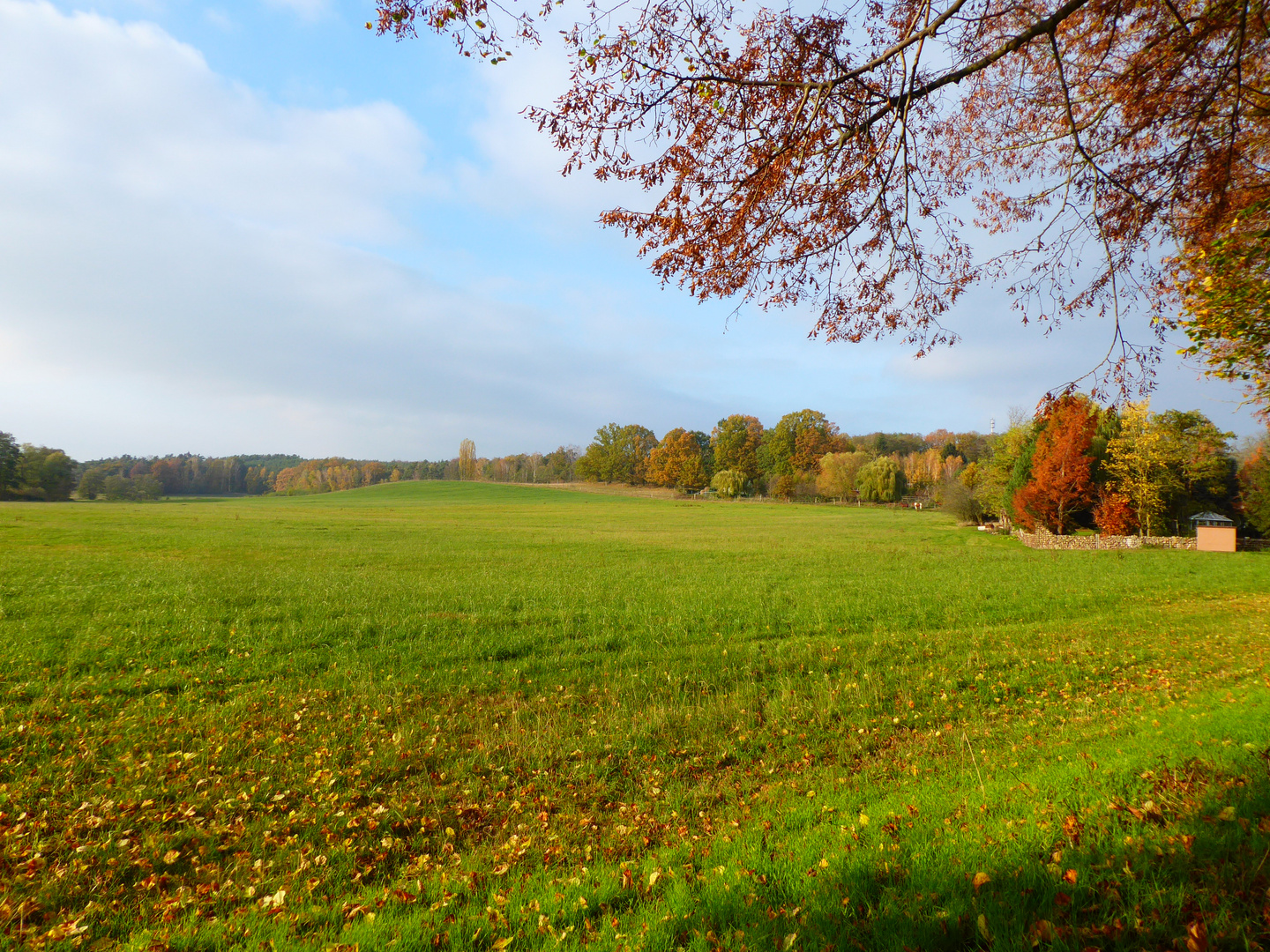 ein bisschen Sonne zum Nachmittag