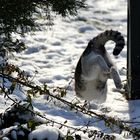 "Ein bisschen Spaß muss sein",