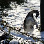 "Ein bisschen Spaß muss sein",