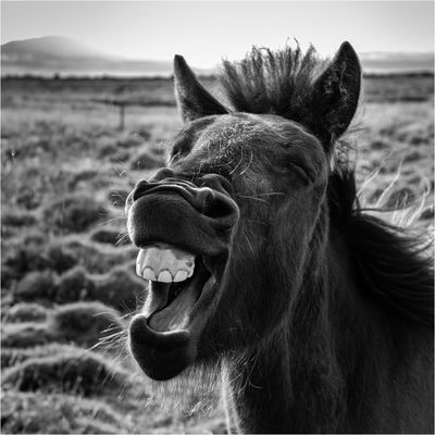 ... ein bißchen Spass muss sein ....