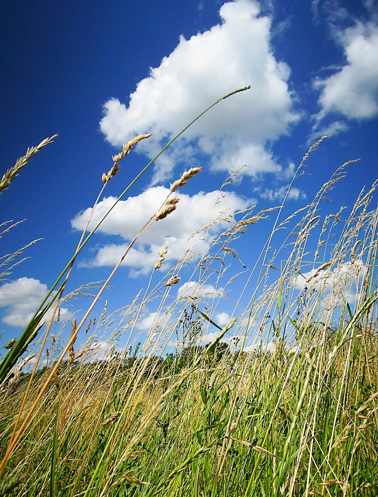 Ein bißchen summerfeeling