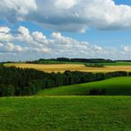 Ein bisschen Vogtland