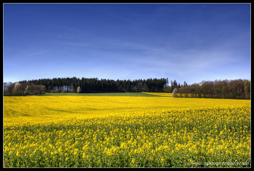 Ein bisschen Voigtland