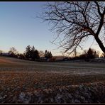 Ein bisschen Weinviertler Winter (3)