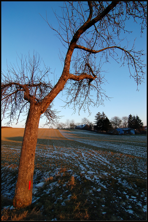 Ein bisschen Weinviertler Winter (4)