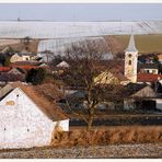 Ein bisschen Weinviertler Winter (5)