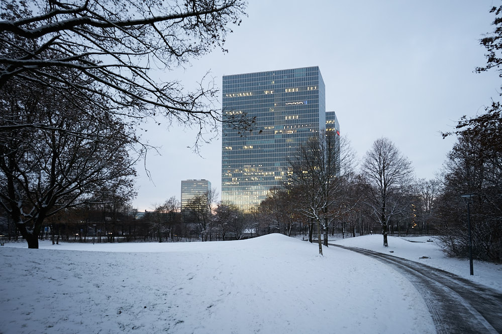 Ein bisschen wie Central Park