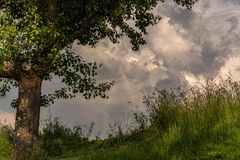 Ein bisschen Wiese, ein Stück Baum und etwas Dramatik