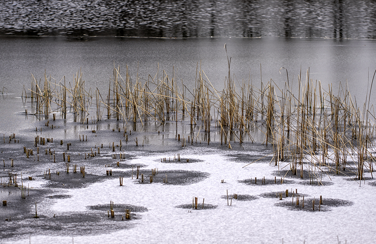 ein bisschen Winter...