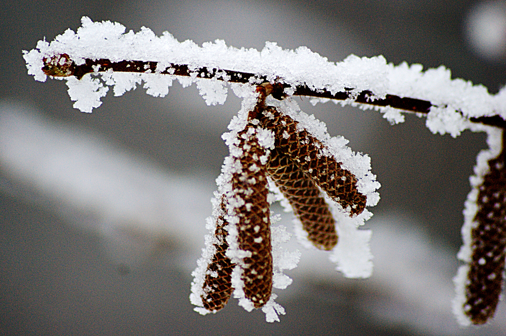 Ein bisschen Winter