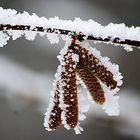 Ein bisschen Winter