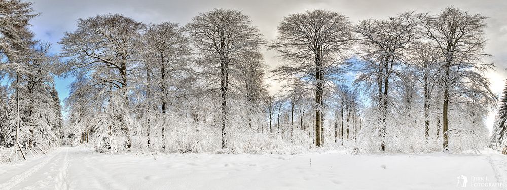 ***Ein Bisschen Winter***