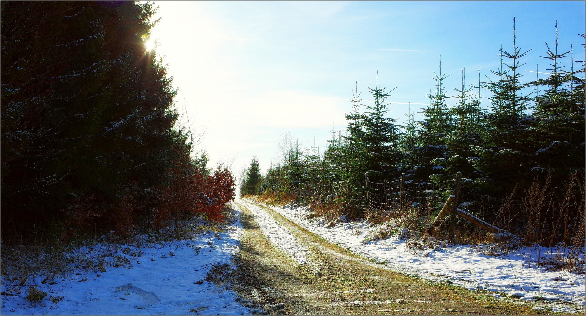 ein bisschen Winter