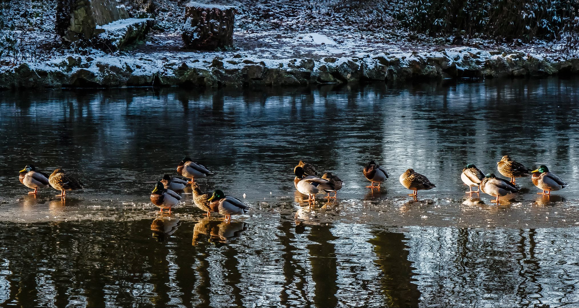 Ein bisschen Winter (4)