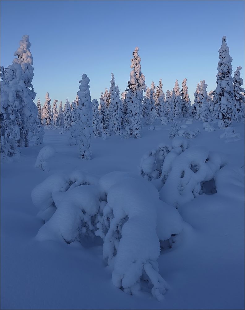 Ein bisschen Winter