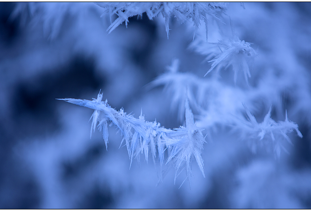 ein bißchen winter