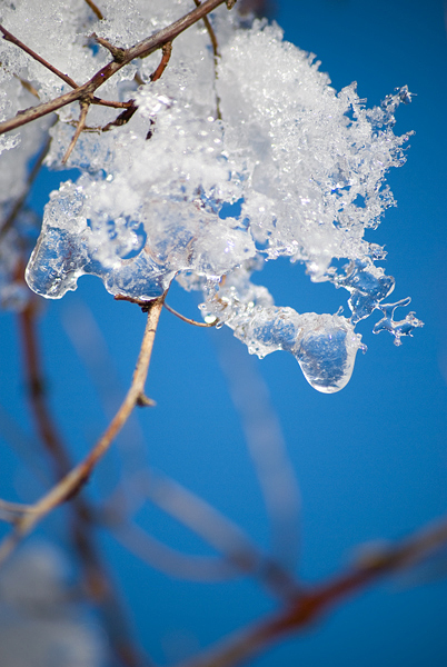 ein bisschen winter