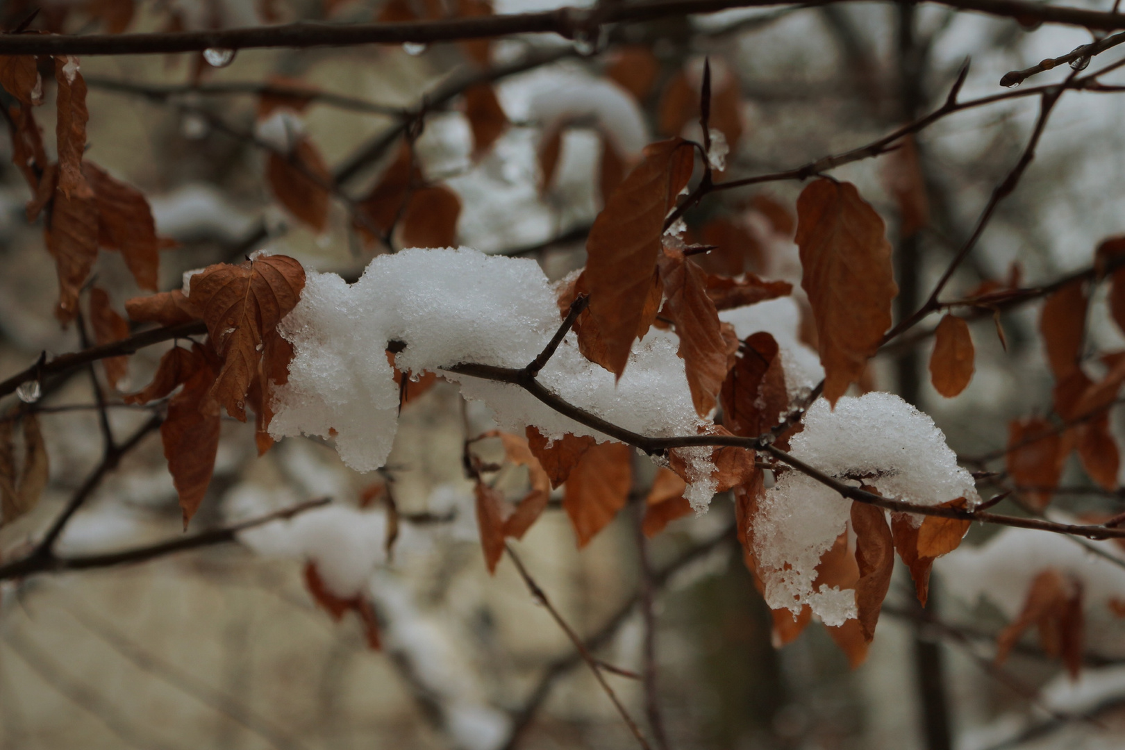 Ein bisschen Winter 