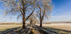 Ein bisschen Winter