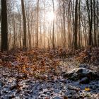 ein bißchen Winter ...