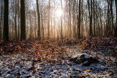 ein bißchen Winter ...