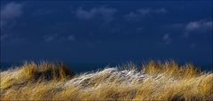 Ein bißchen Winter auf Sylt