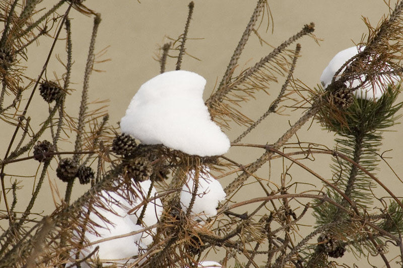 Ein bisschen Winter